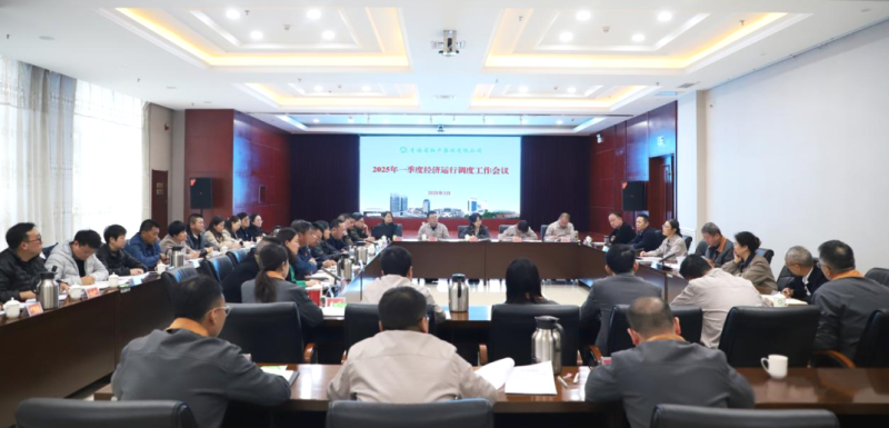 省k8凯发官网集团召开2025年一季度经济运行调度工作会议
