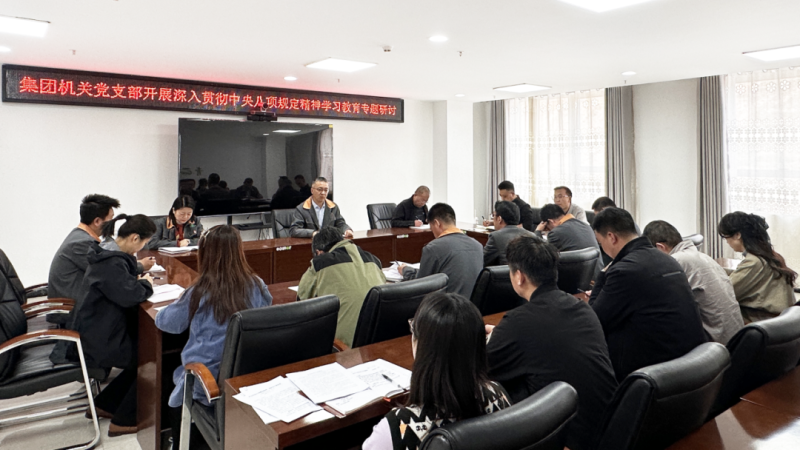 集团机关党支部发展深刻贯彻中央八项划放心灵进建教育专题钻研